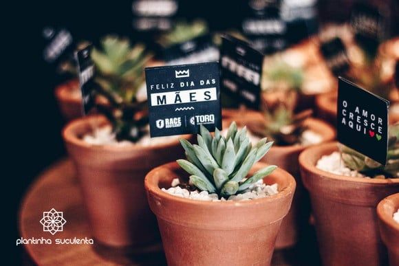 Mini Suculentas para Eventos | Vaso de Cerâmica de Barro
