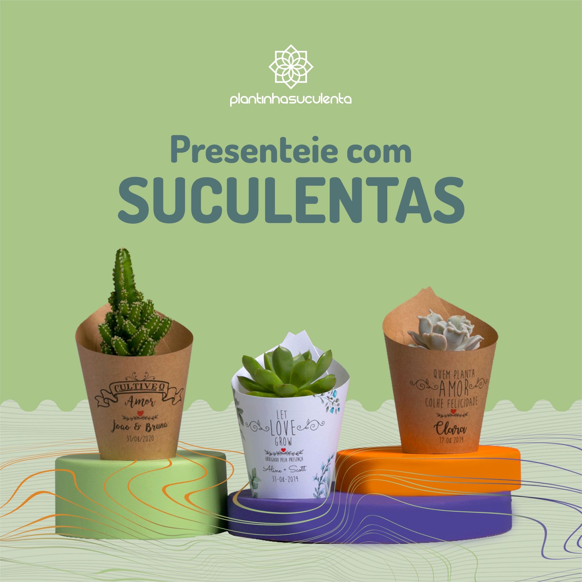 Plantinha Suculenta